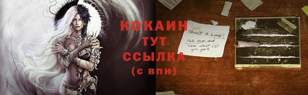 спиды Дмитриев