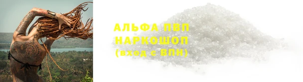 спиды Дмитриев