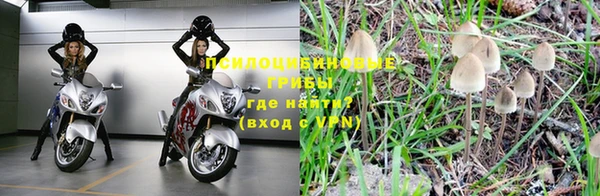 молекула духа Заводоуковск
