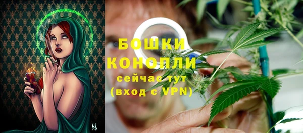 спиды Дмитриев