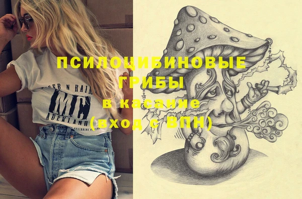 молекула духа Заводоуковск