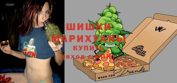 молекула духа Заводоуковск