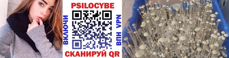 Купить закладки  Минеральные Воды  Галлюциногенные грибы Cubensis 